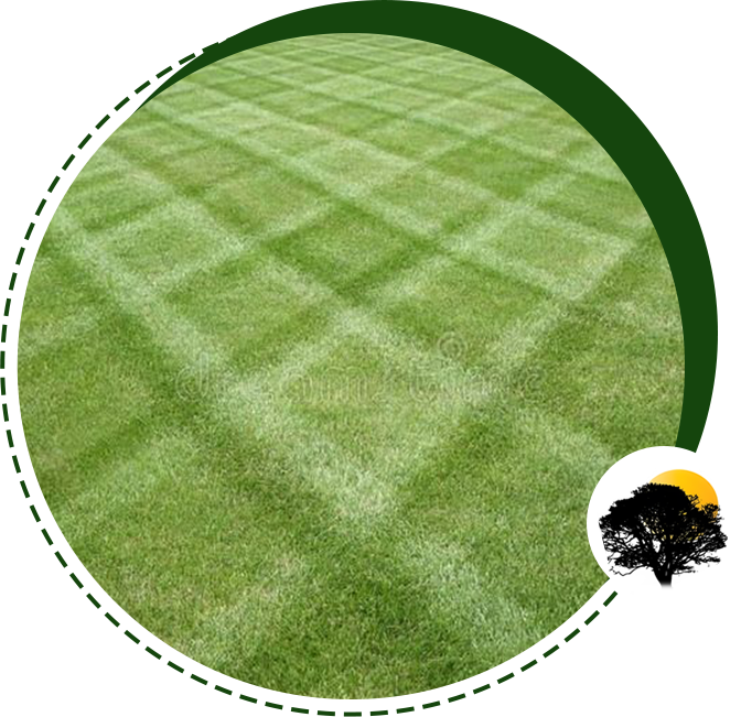 A picture of the grass that is cut in squares.