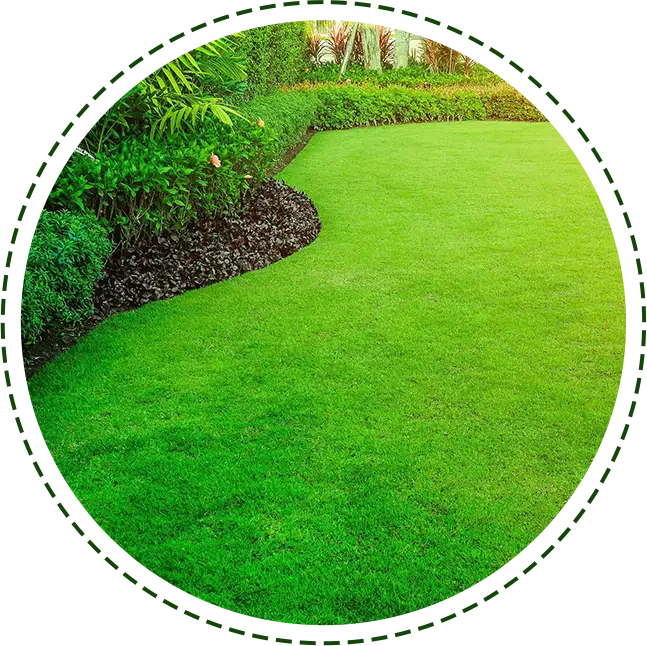 A green lawn with bushes and trees in the background.